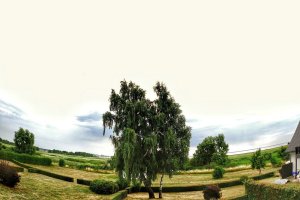 Ferienwohnung Boddenblick