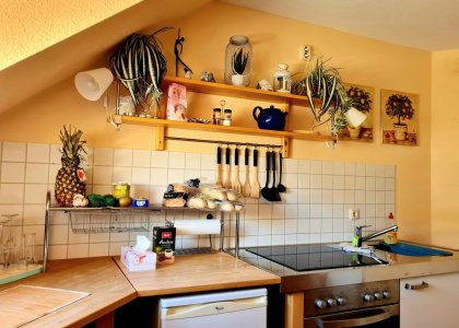 1 Raum Appartement Strandperle