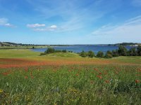 Ferienwohnung Sonnenschein