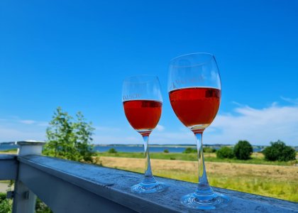 Ferienwohnung Löwenzahn