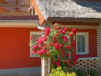 Ferienwohnung Boddenblick