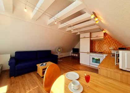 1 Raum Appartement Windrose