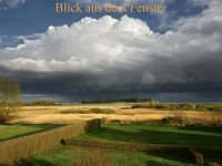 Ferienwohnung Inselliebe