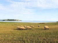 Ferienwohnung Künstlerglück