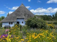 Ferienwohnung Künstlerglück